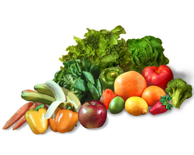 Healthy Lifestyle