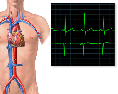 Health Topics Symptoms In-Depth Reports