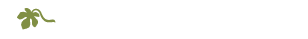 ADAM Company Logo