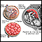 Anatomia de uma placenta normal