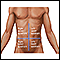 Quadrantes abdominais
