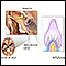 Receptores sensoriais