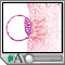 Placenta formation