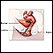 Anatomia reprodutiva feminina (sagital mediana)